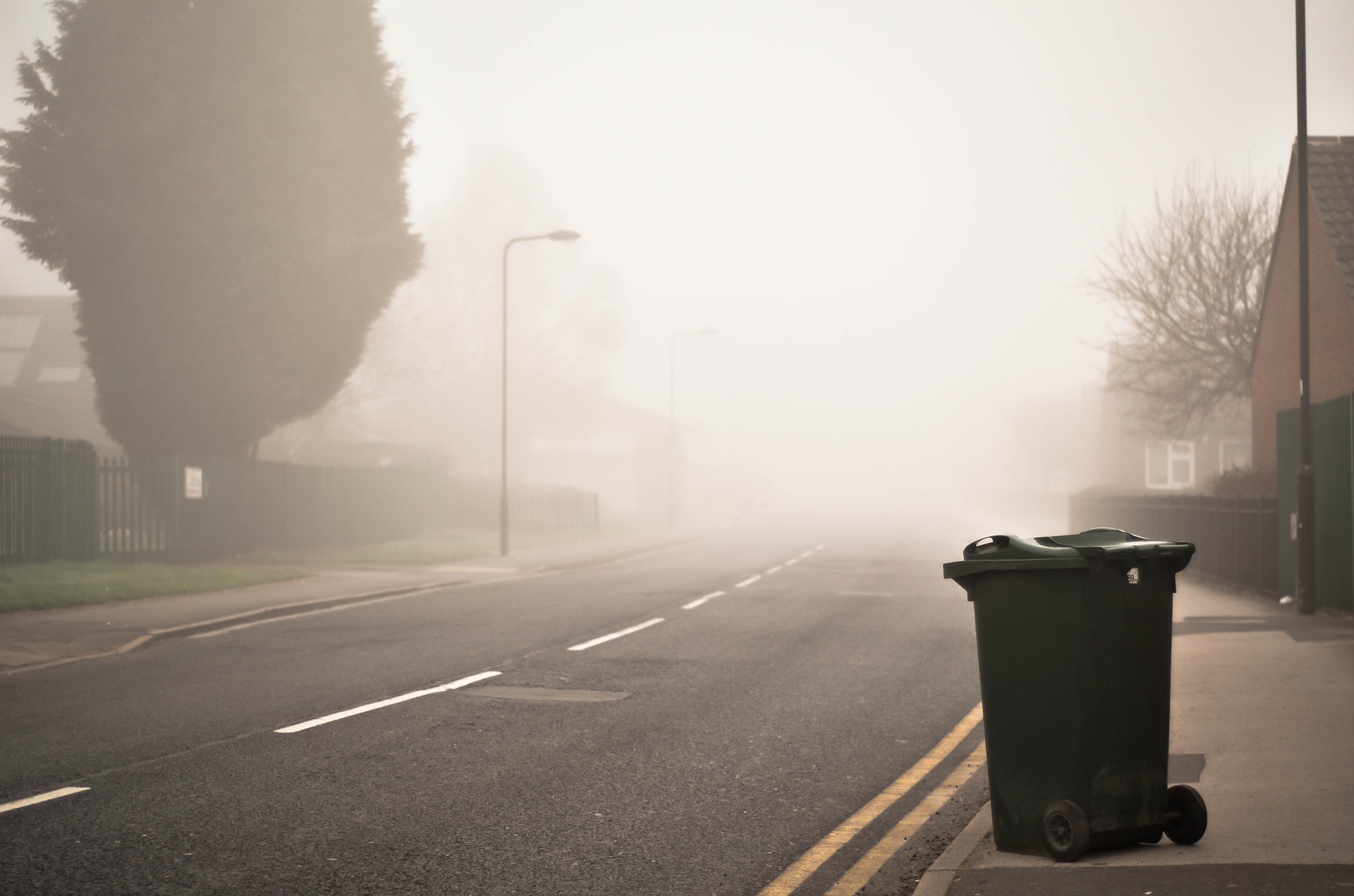 Photo of a bin left out on the pavement