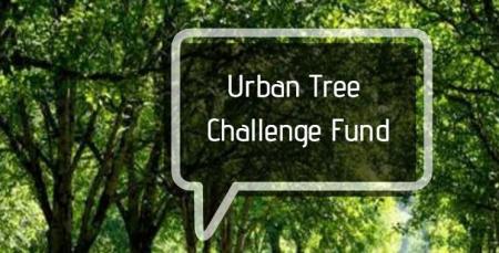 Urban Tree Challenge advert