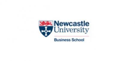 Newcastle University MBA Student, project (survey)
