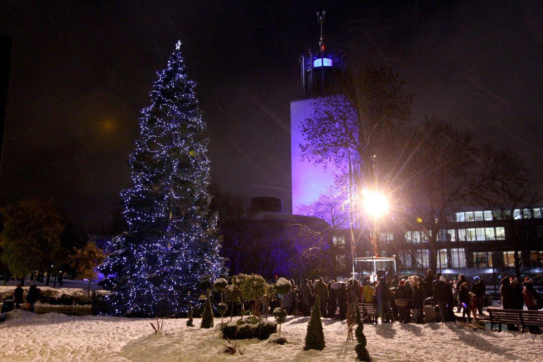 Lighting the Bergen Tree