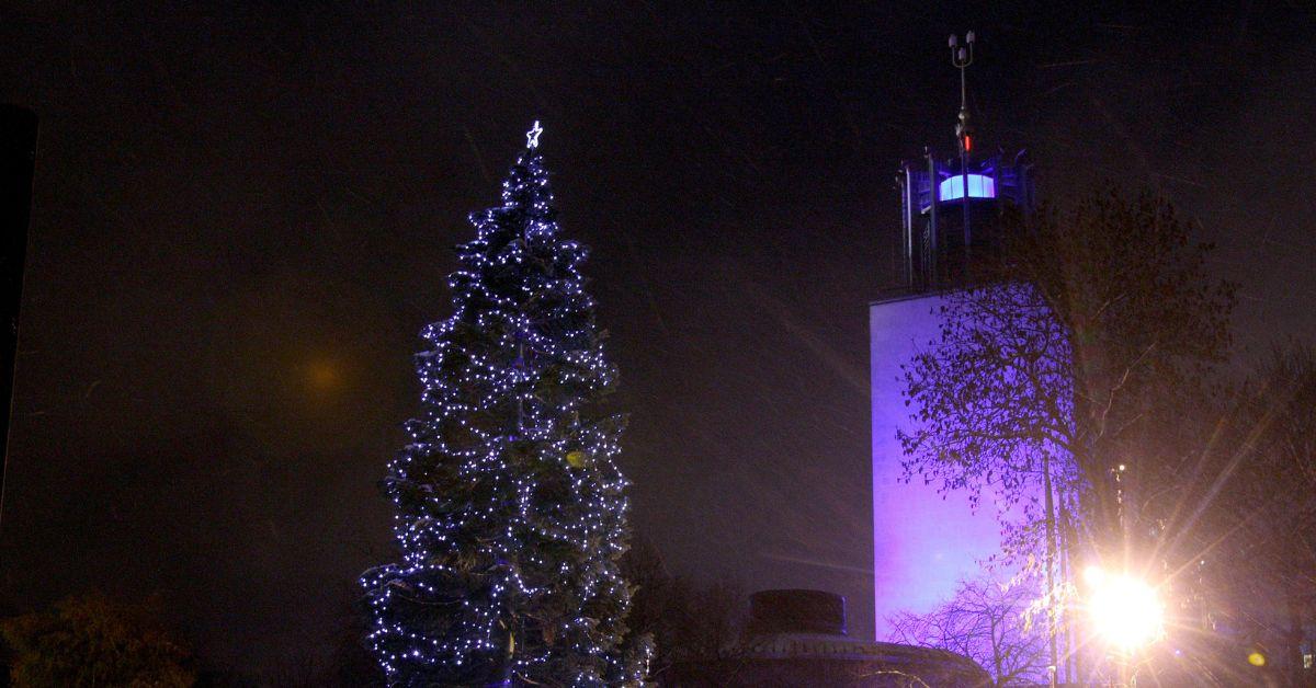 The Bergen Tree lit up outside Newcastle Civic Centre