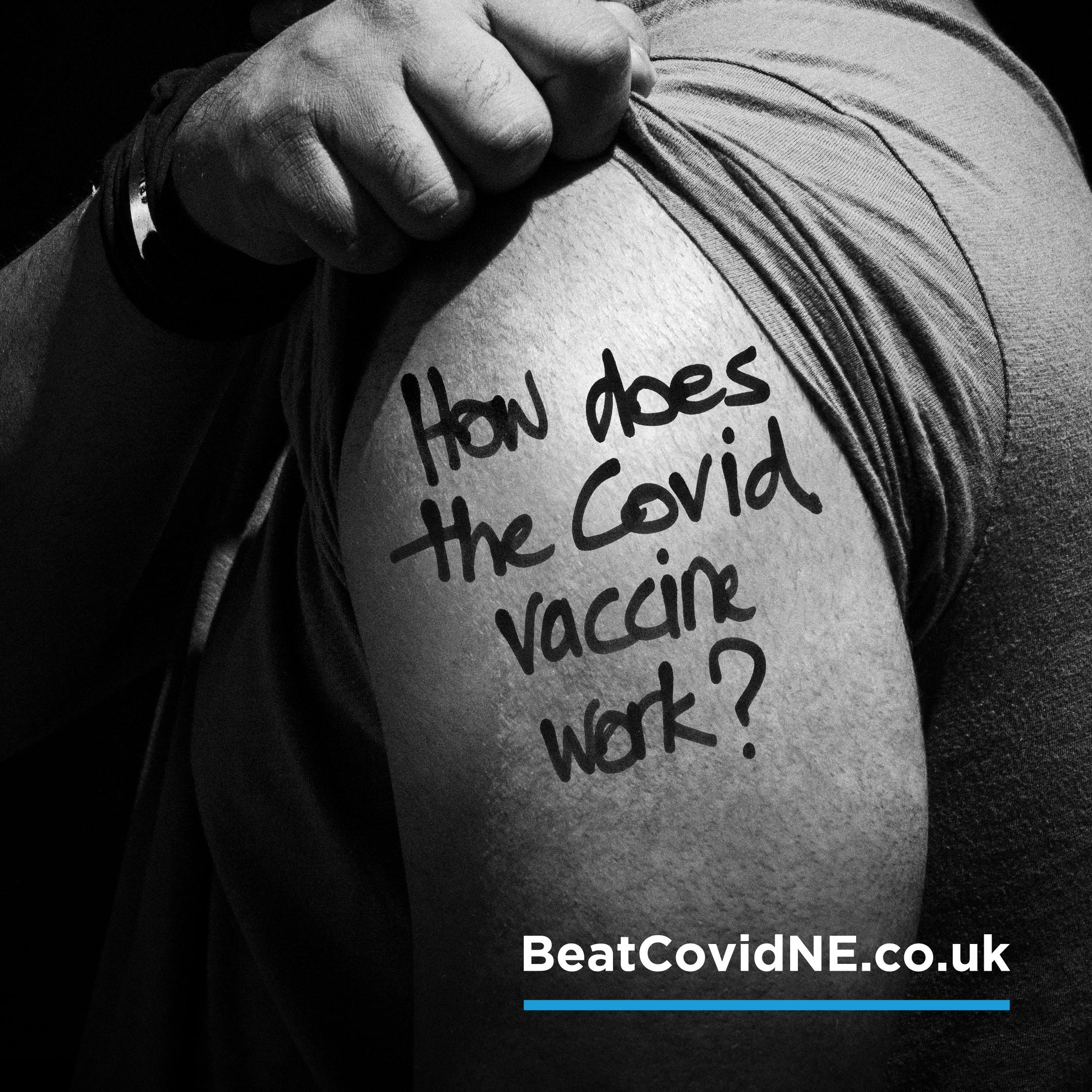 Vaccine Campaign
